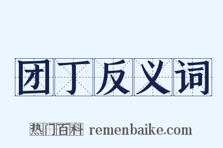 团丁反义词是什么意思的图片